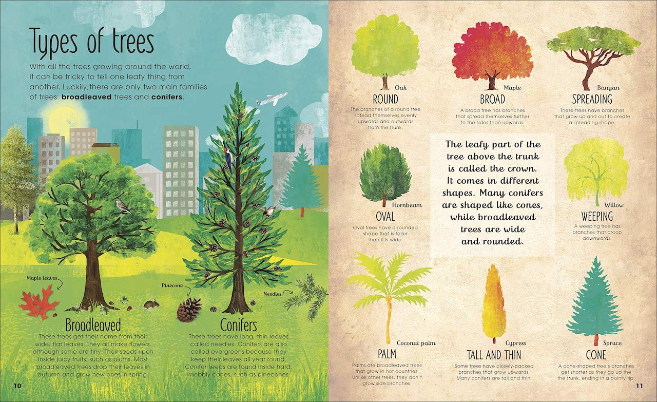 DK Magic & Mystery of Trees-2