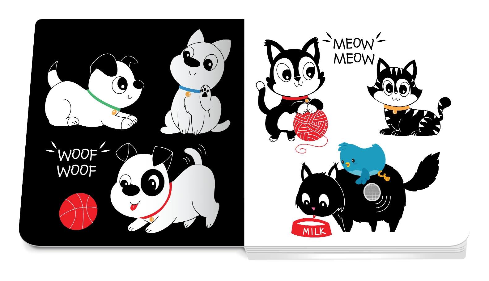 Ditty Bird : Black and White Sound book - New born-3
