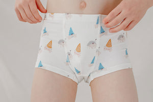 Nest Designs Bamboo Boys Boxer Briefs Underwear (2 Pack) - Hermit Crab-1
